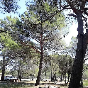 Eco Secluded Zabodarski , Čunski Chorvatsko